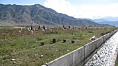 Slideshow: Water for a Dry Land in the Kyrgyz Republic